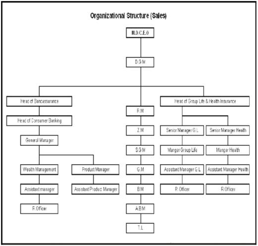 Organizationâ€™s management structure & Organizationâ€™s Chart